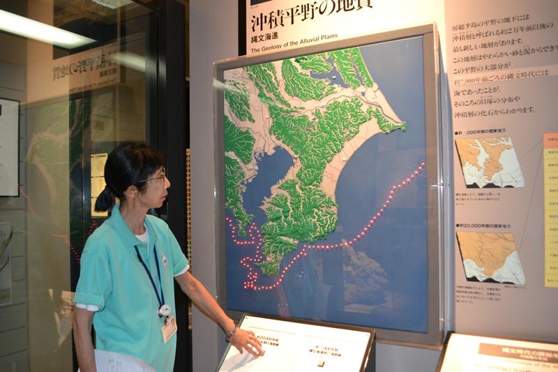 房総半島の成り立ちを説明する八木令子上席研究員＝千葉市中央区の県立中央博物館