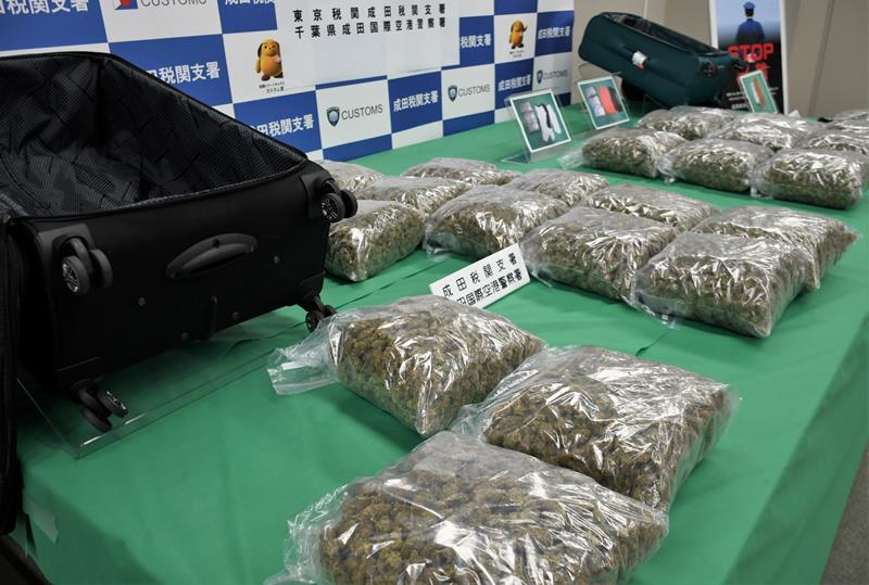 成田空港で摘発された約２４キロの乾燥大麻と隠匿に使われたスーツケース＝２９日、成田市の東京税関成田支署