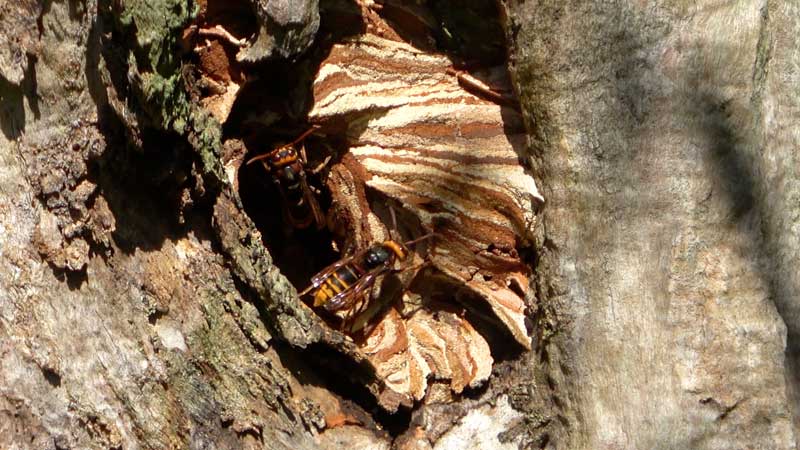 ※写真はイメージ