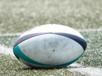 ※写真はイメージ