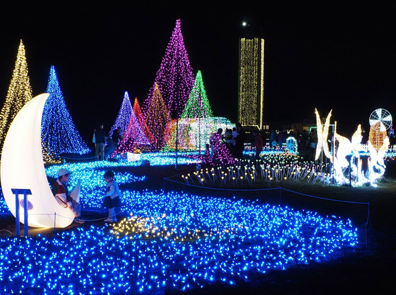 「妖精の国」をテーマにしたマザー牧場のイルミネーション=3日夜、富津市