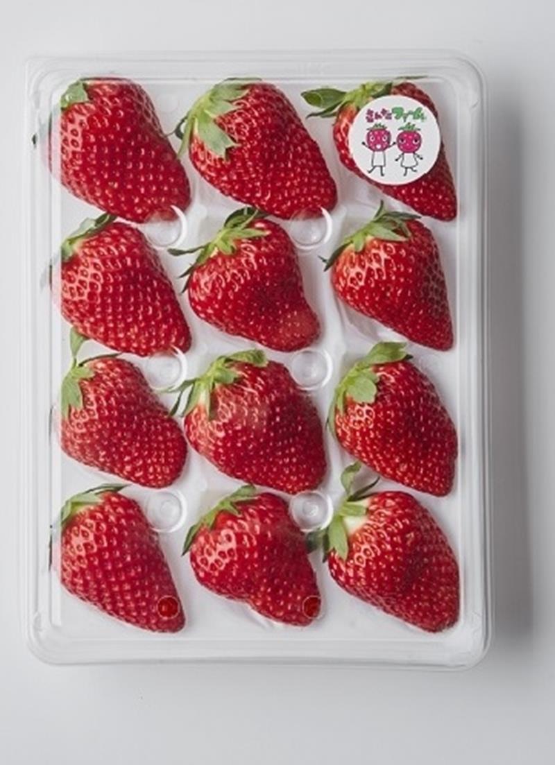 グリーンビーンズの「千」コーナーで販売される「さんたファームのこだわりいちご」（千葉市提供）