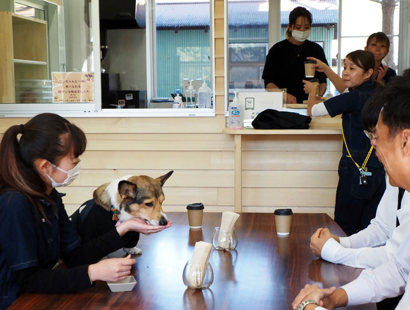 愛犬と一緒にカフェタイム。ドッグスイーツも提供している＝富津市
