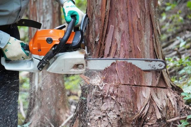 ※写真はイメージ