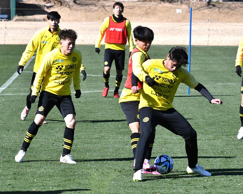 実戦形式のトレーニングを行う柏の選手たち=柏市内