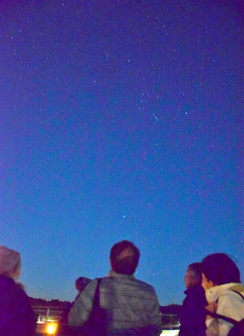 夜空に浮かぶオリオン座などを見上げる参加者＝睦沢町立中央公民館