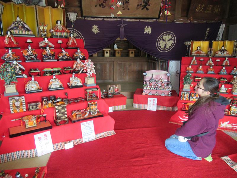 安房神社の社殿には、関西様式と関東様式の七段飾りが並ぶ=17日、市川市
