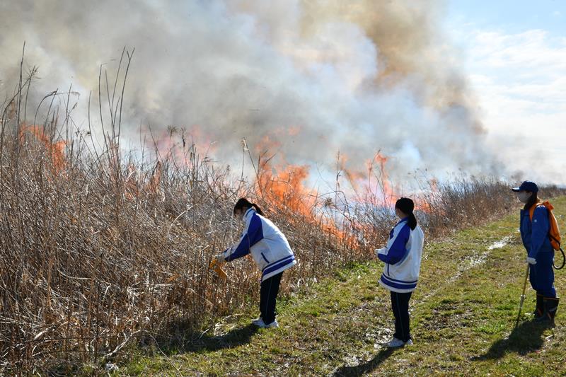 湿原のヨシ焼きに参加し、火入れを行う東庄中の生徒＝３日、東庄町