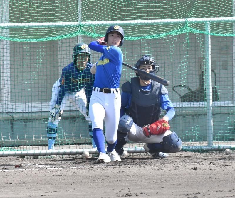 フリー打撃で快音を響かせる中央学院の森田＝大阪府高槻市