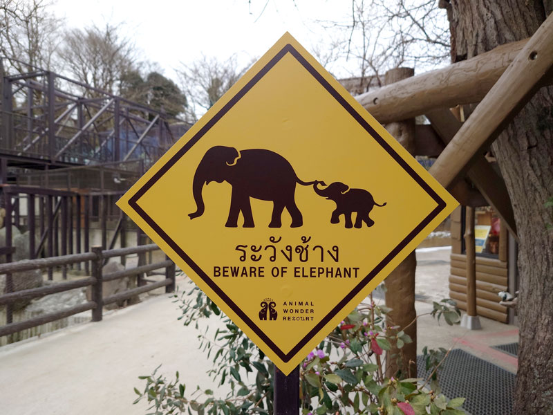 市原ぞうの国にある「ゾウに注意」の標識。タイ語と英語で注意喚起している＝市原市の市原ぞうの国