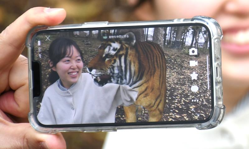 ARによってスマホ画面に現れて記念撮影できるトラ