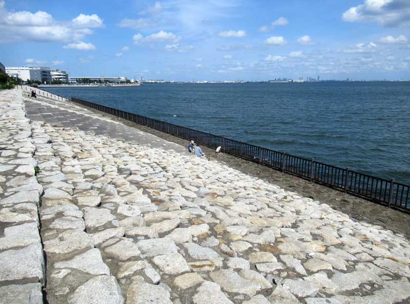 市川市が計画する三番瀬の人工干潟の造成予定地＝同市