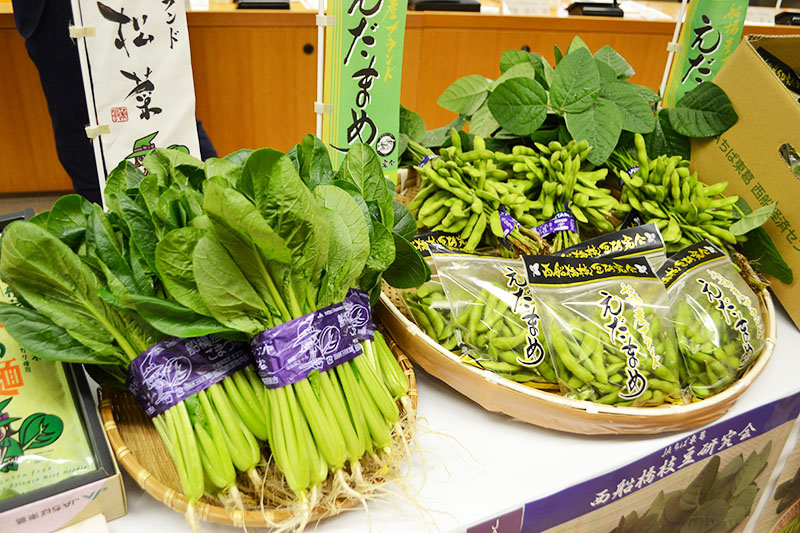 船橋産の小松菜と枝豆＝１６日、船橋市役所
