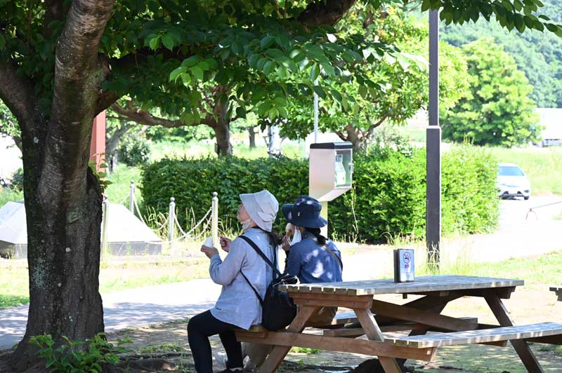 八千代市でも気温が上昇。木陰でソフトクリームを食べて涼む人の姿も=14日午後1時55分ごろ、同市の道の駅やちよ