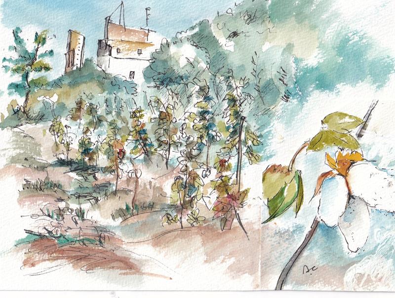 池上曽根史跡公園（大阪府泉大津市）付近の綿畑