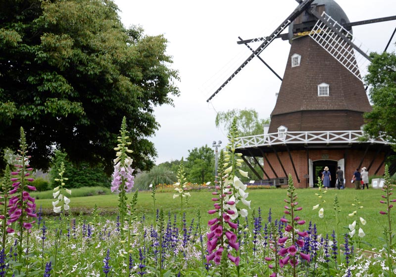 ふなばしアンデルセン公園