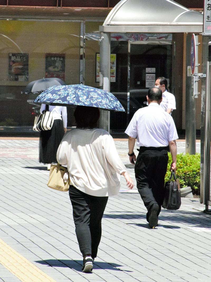 千葉県内では6月24日、早くも気温35度以上の猛暑日地点が生じた。茂原市でも34度に達し、今年一番の暑さに