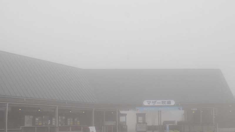 マザー牧場（イメージ）