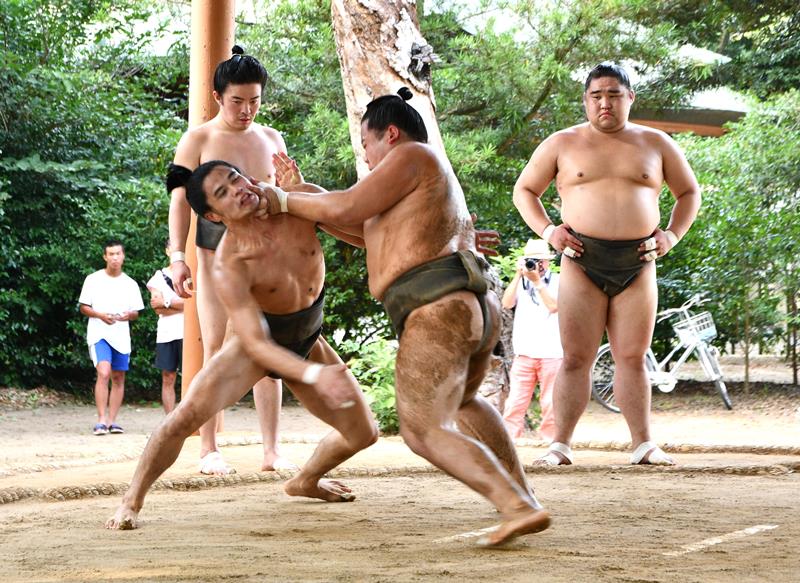 土俵で激しくぶつかり合う出羽海部屋の力士=10日、東庄町