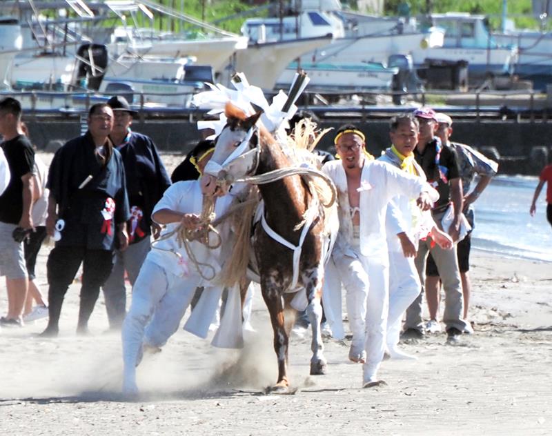人馬一体となって砂浜を駆け抜ける神馬＝１５日、富津市