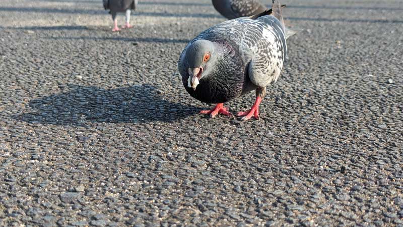 写真はイメージ