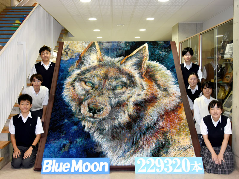 印旛明誠高の図書委員３４人が約半年かけて制作したオオカミのつまようじアート＝印西市