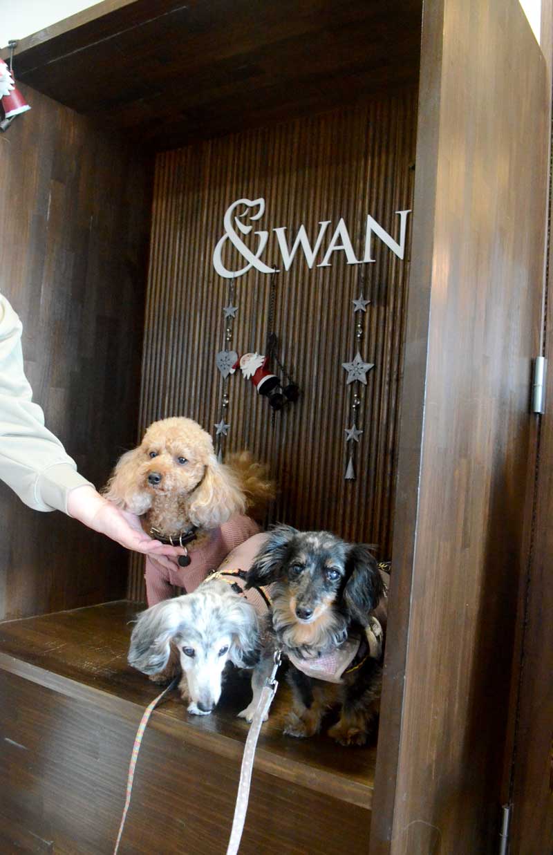 「＆ＷＡＮ」のロビーにはフォトスポットが用意され、撮影もできる