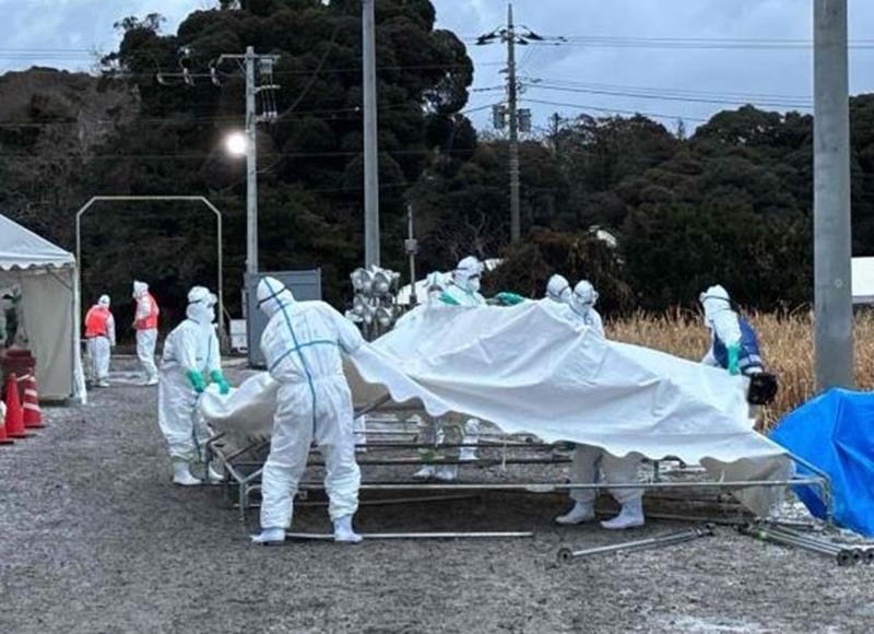 鳥インフルエンザが発生した銚子市の養鶏場で防疫作業に当たる県職員=12日(県提供)