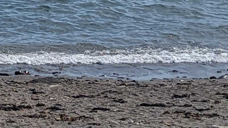 写真はイメージ