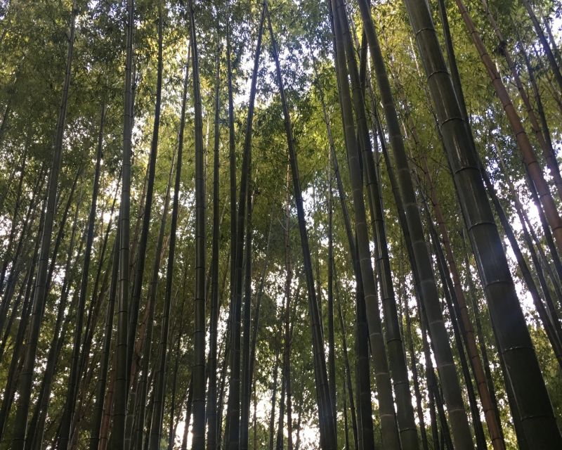 写真はイメージ