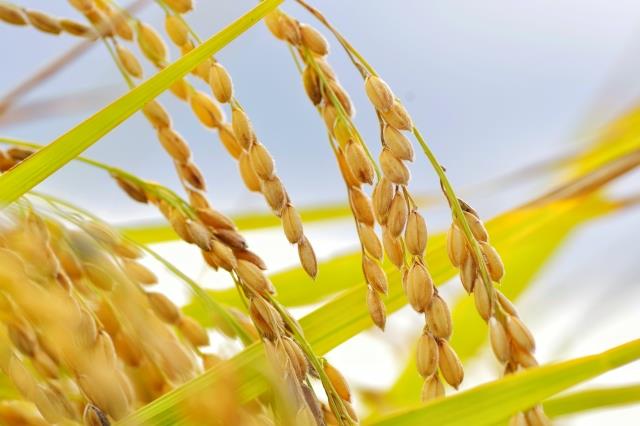 写真はイメージ