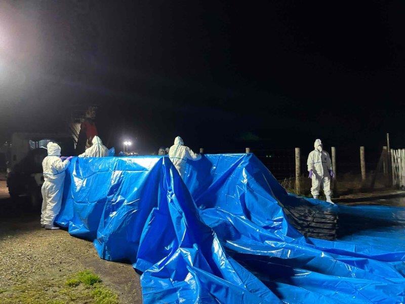 豚熱の感染が確認され、防疫作業が行われた養豚場＝３月３１日、旭市（千葉県提供）