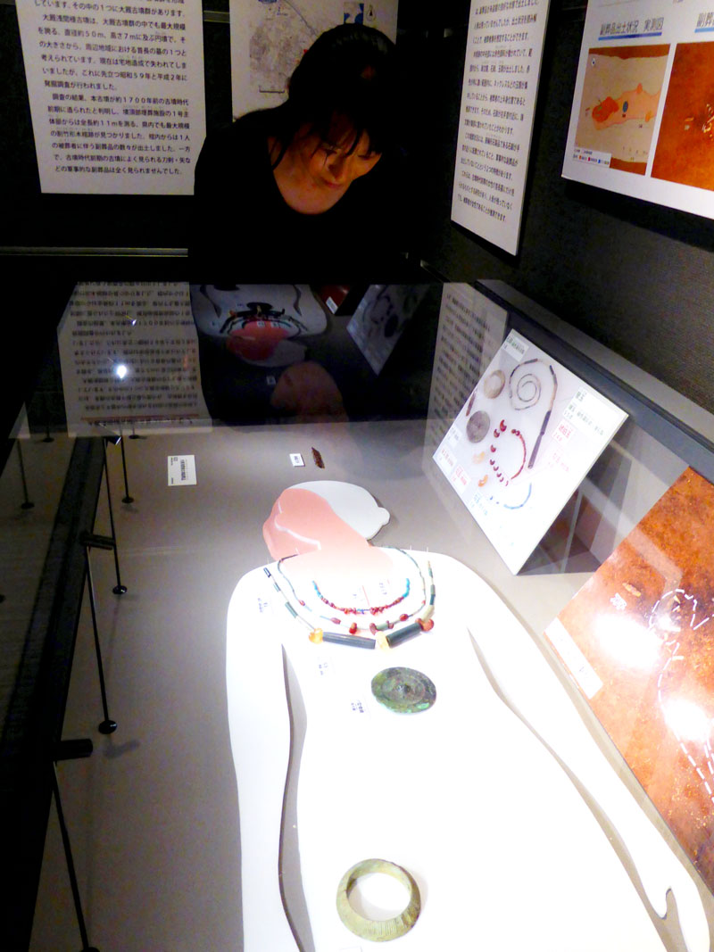 被葬者とみられる女性首長を弔うアクセサリーなどの副葬品。埋葬時の状態を再現して展示＝市原歴史博物館