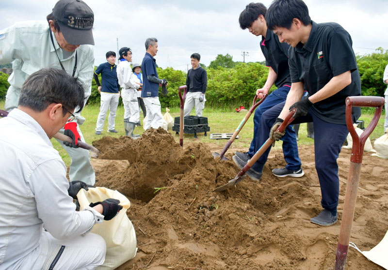 スコップで掘った土を袋に入れて土のうを作る栄町職員＝栄町