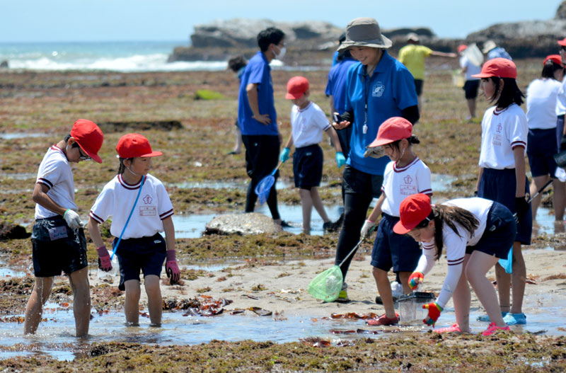 市立浪花小の恒例行事「磯観察」。カニやエビなど海辺の生き物を捕まえた＝２６日、いすみ市