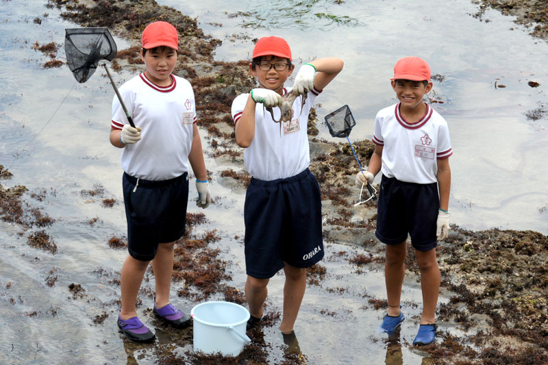 捕まえたタコを手にする児童ら。たくさんの生き物に触れた
