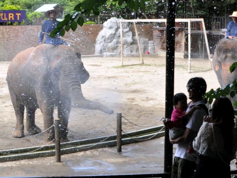 ぞうが飛ばす水を浴びる家族連れ＝２０日、市原市の市原ぞうの国