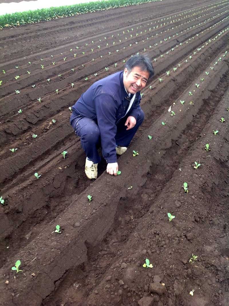 石橋農園の佐々木貴史さん（本人提供）