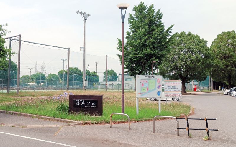 (仮称)姉崎のぞみ病院の建設予定地となる姉崎公園=市原市姉崎海岸