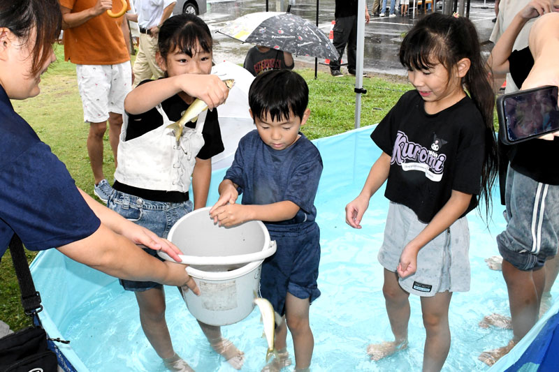 子どもたちの歓声が響いたアユのつかみ取り=10日、大多喜町