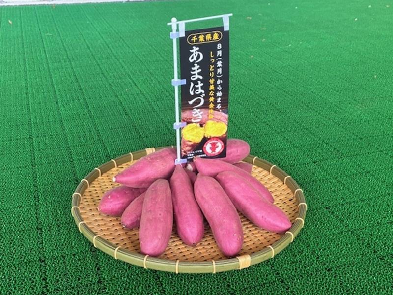 「ねっとり甘い」おいしさをイベントでＰＲした「あまはづき」