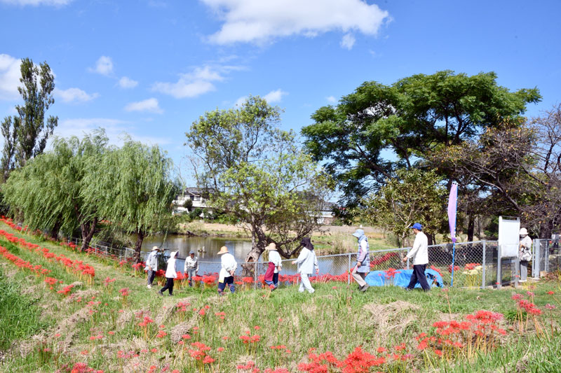 緑地周辺を確認する「大須賀川河童会」のメンバーら
