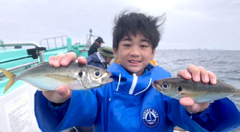 木更津沖で釣り上げたアジ(写真は「守山丸」提供)