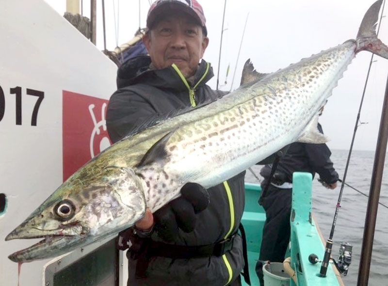 木更津沖で釣り上げたサワラ(写真は「守山丸」提供)