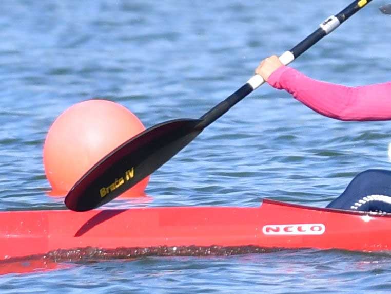 写真はイメージ