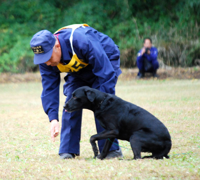 「足跡追及」の審査に挑むハイマンくんと訓練士の鈴木さん=6日、千葉市花見川区