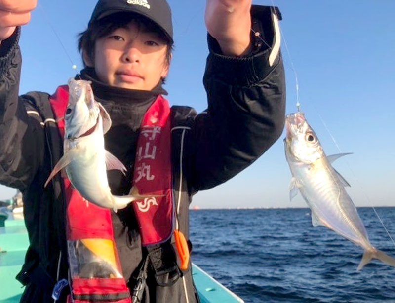 木更津沖で釣り上げたアジ（写真は「守山丸」提供）