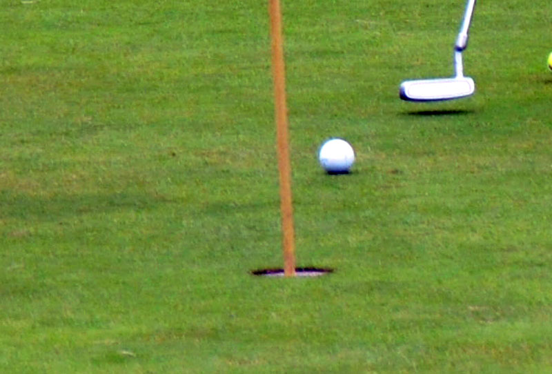 写真はイメージ