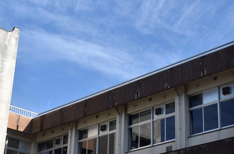 写真はイメージ