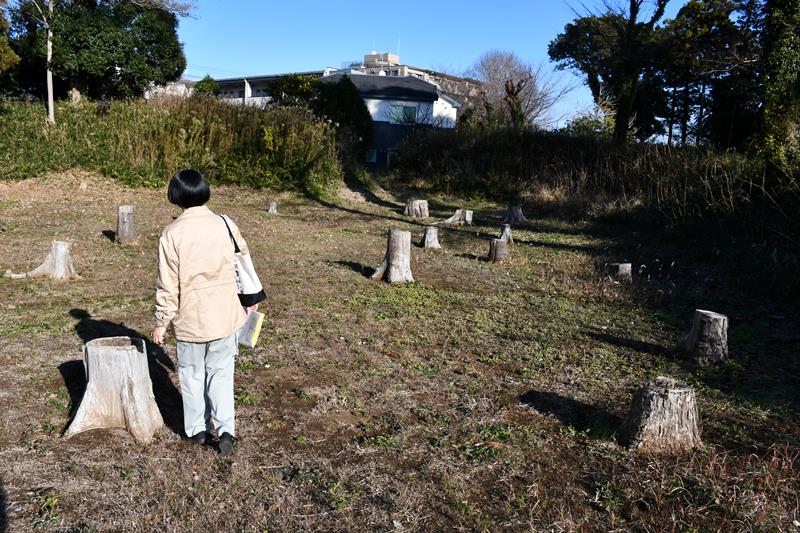 江戸期に牧場の馬の仕分けが行われた「捕込」の跡地。奥には区画を分ける土手が残る＝鎌ケ谷市